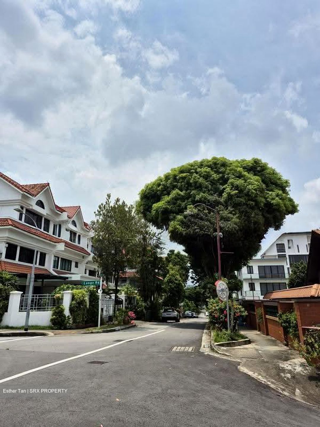 JANSEN ROAD (D19), Terrace #624101371
